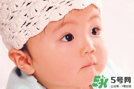 婴儿多大可以吃肉泥,宝宝几个月能吃肉泥