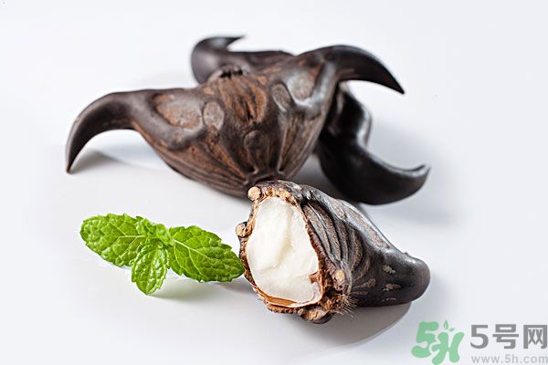 一岁宝宝可以吃菱角吗,两岁宝宝可以吃菱角吗 一岁宝宝可以吃菱角吗,两岁宝宝可以吃菱角吗