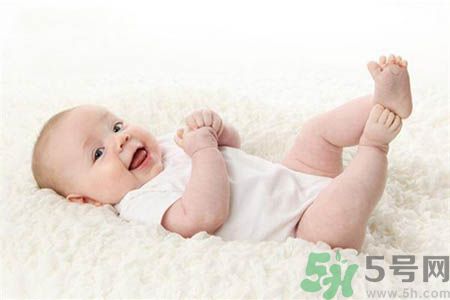 婴儿和宠物相处,和宠物相处ppt