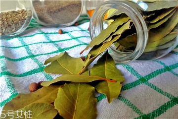 月桂叶是什么树的叶子,月桂叶是什么科属