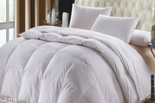 磨毛和纯棉有什么区别?,纯棉的和磨毛的什么区别