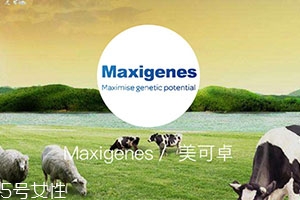 澳洲蓝胖子奶粉怎么样?真的好吗?,怡保康奶粉适合人群有什么功效