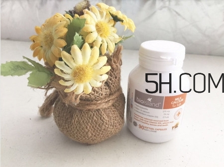 产品介绍模板,乐盈一生终身寿险产品介绍