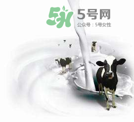 孕妇能吃牛初乳吗,新生儿能吃牛初乳吗