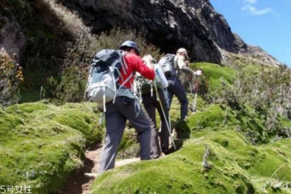 猕猴桃直接切片可以做面膜吗(可以用猕猴桃做面膜吗)