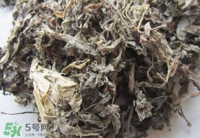 哑铃平板卧推技巧(平板哑铃卧推的正确方法)