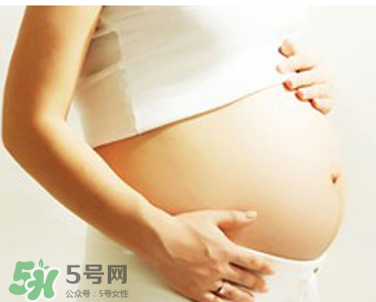 孕妇可以吃淡竹叶吗,孕妇可以吃竹叶菜吗