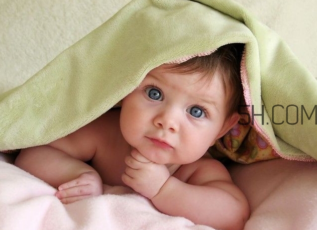 人工授精和试管婴儿哪个成功率高,试管和人授哪个成功率高 人工授精和试管婴儿哪个成功率高,试管和人授哪个成功率高