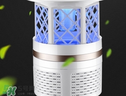 灭蚊灯可以灭苍蝇吗?,灭蚊灯对苍蝇有效果吗