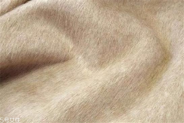 阿尔巴卡和羊绒哪个贵,阿尔巴卡贵还是羊绒贵 阿尔巴卡和羊绒哪个贵,阿尔巴卡贵还是羊绒贵