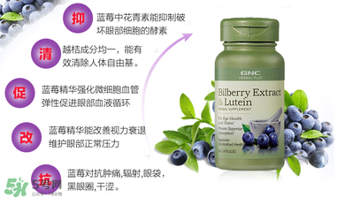 GNC健安喜叶酸片,gnc叶黄素的功效 GNC健安喜叶酸片,gnc叶黄素的功效