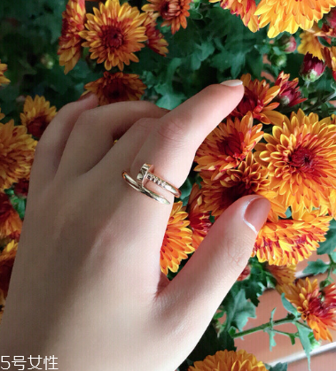 卡地亚钉子戒指设计理念,卡地亚铁钉戒指