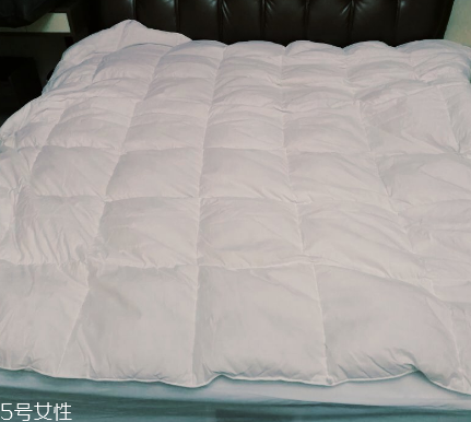 羽绒被被套怎么选,羽绒被适合套什么被套 羽绒被被套怎么选,羽绒被适合套什么被套