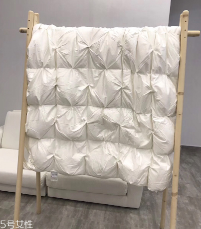 羽绒被鸭绒和鹅绒哪个好,羽绒被鸭绒和鹅绒的区别