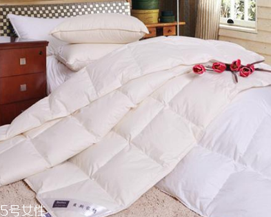 羽绒被可以水洗吗,羽绒服被水洗了怎么办