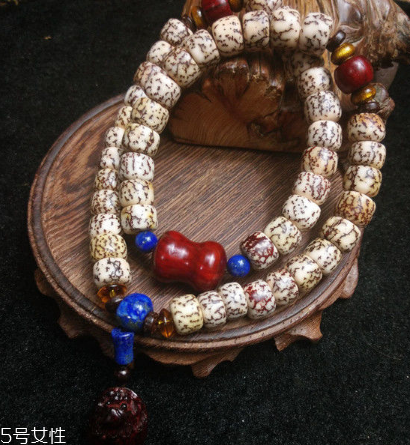 血丝菩提和星月菩提的区别,星月菩提和血丝菩提哪个更好