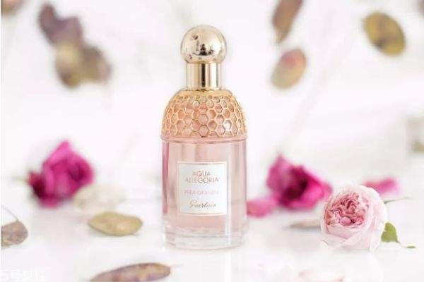 香水梨好吃吗,英国梨香水什么味道 香水梨好吃吗,英国梨香水什么味道