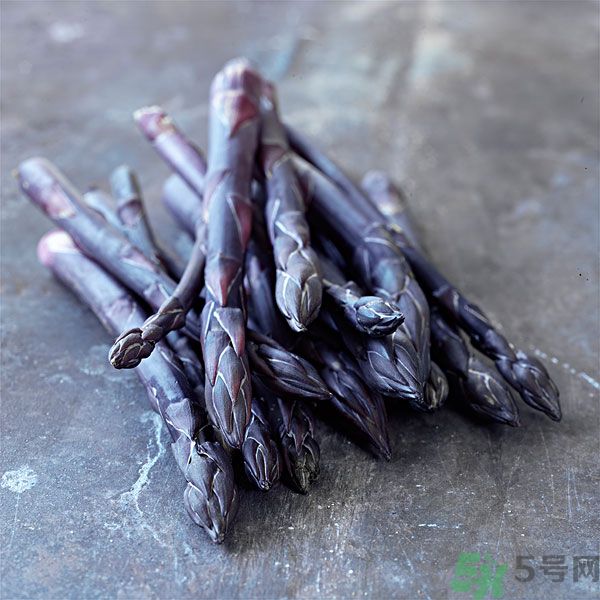 拉丁舞练习技巧(拉丁舞的技巧) 拉丁舞练习技巧(拉丁舞的技巧)