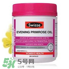 澳洲月见草胶囊的功效和作用,月见草胶囊有什么功效