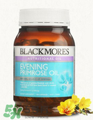 澳洲月见草服用禁忌,澳洲月见草的功效和作用及食用方法