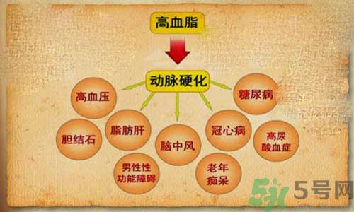 高血脂的症状表现有哪些,高血脂的症状表现