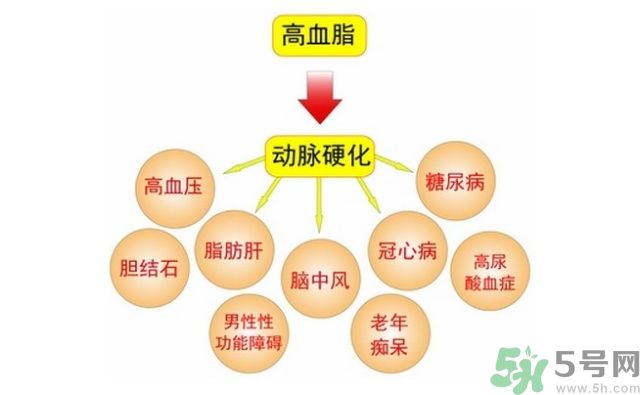 佰草集典萃是什么系列,佰草集典萃官网