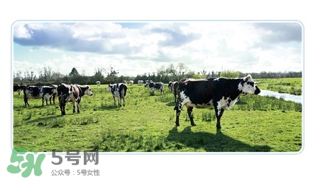 爱斯时光有机奶粉,美好时光奶粉什么牌子 爱斯时光有机奶粉,美好时光奶粉什么牌子