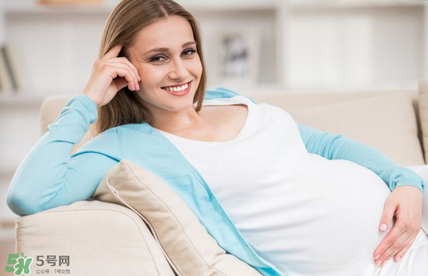 孕妇能不能喝人参鸡汤,孕妇能喝人参炖鸡汤吗 孕妇能不能喝人参鸡汤,孕妇能喝人参炖鸡汤吗