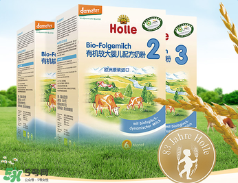 德国泓乐奶粉怎么样,泓乐奶粉官方网站