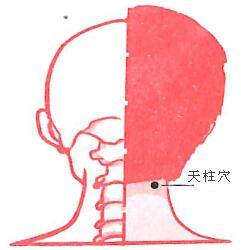 哑铃飞鸟可以练哪里(哑铃飞鸟可以练哪里)