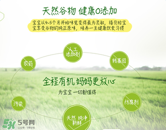 禧贝米粉一二三段区别,禧贝米粉一二三段图片 禧贝米粉一二三段区别,禧贝米粉一二三段图片