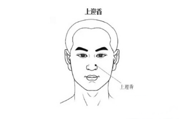 鼻子不通 迎香,迎香和鼻通的准确位置图