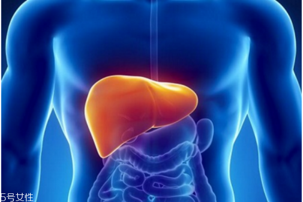 艾灸治疗肝病,肝炎可以艾灸吗