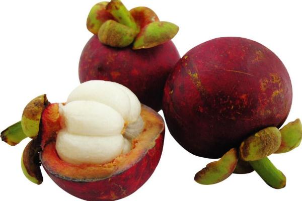 山竹要吐核吗,山竹有核吗