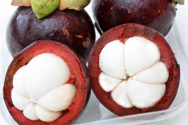 山竹是什么时候的当季水果,山竹属于哪个季节水果