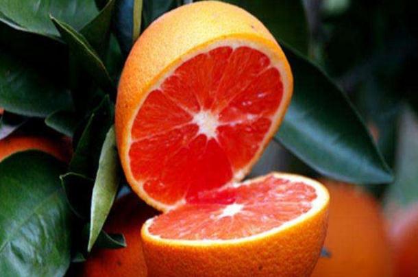 橙子可以和什么一起榨汁吗,橙子和什么水果榨汁最好喝