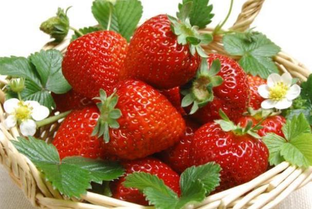吃了草莓会不会过敏,为什么过敏不能吃草莓