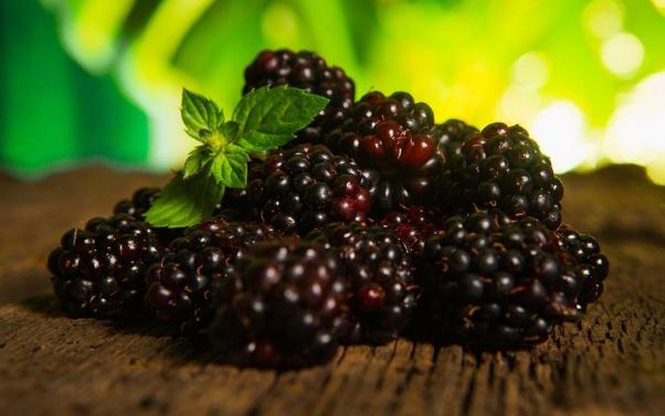 桑葚能降血压吗,桑葚治高血压吗