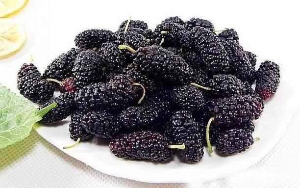 桑葚的洗法,桑葚怎么洗才能干净染衣服上