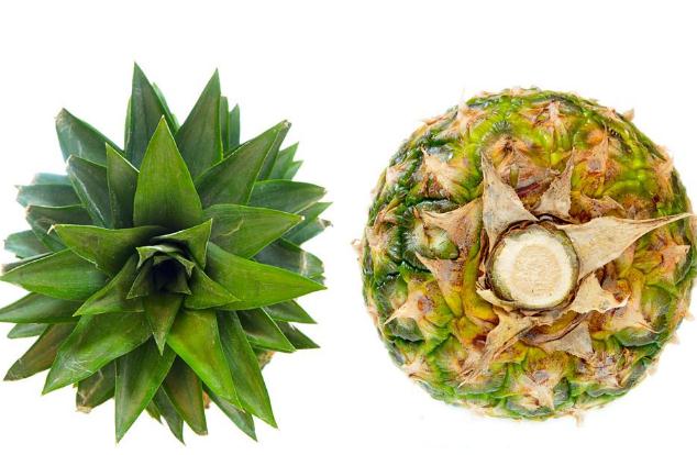 菠萝能去味吗?,菠萝可以去味道吗