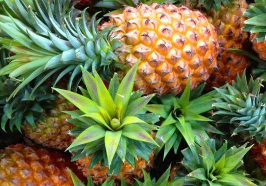 菠萝为什么要用盐水泡蚂蚁庄园,菠萝为什么要用盐水泡多久