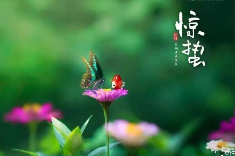 惊蛰为什么吃梨百度百科,惊蛰为什么吃梨?