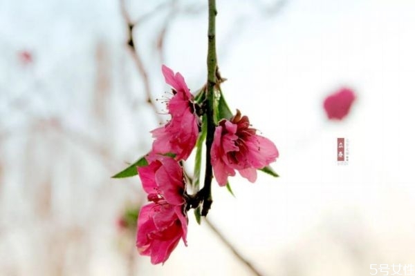 没躲春怎么办2021,没躲春怎么办