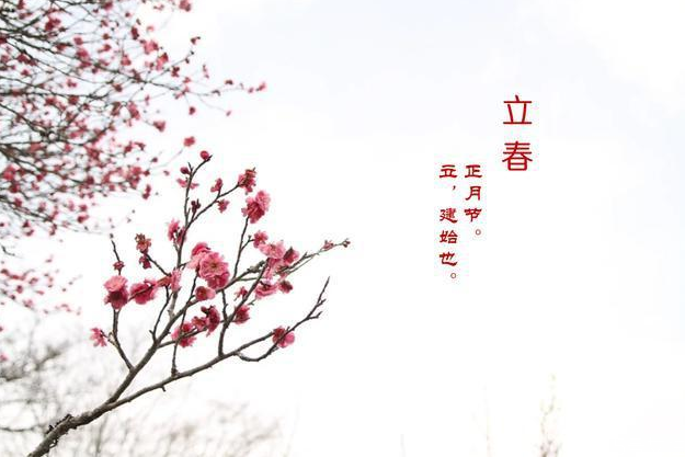 躲春可以吃东西吗?