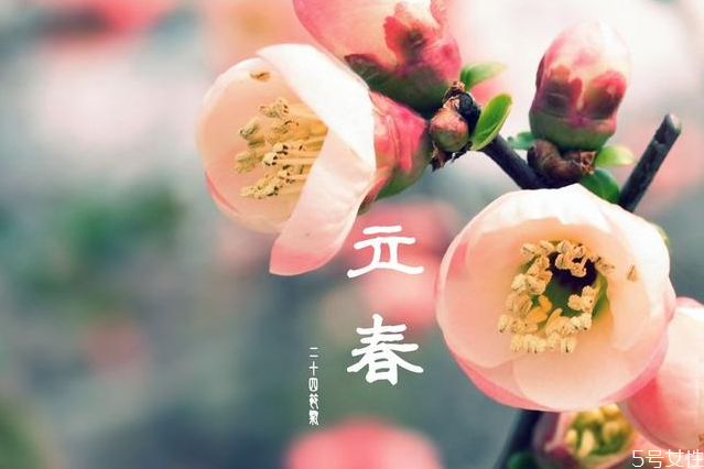 躲春时睡觉好吗,躲春时可以睡觉吗