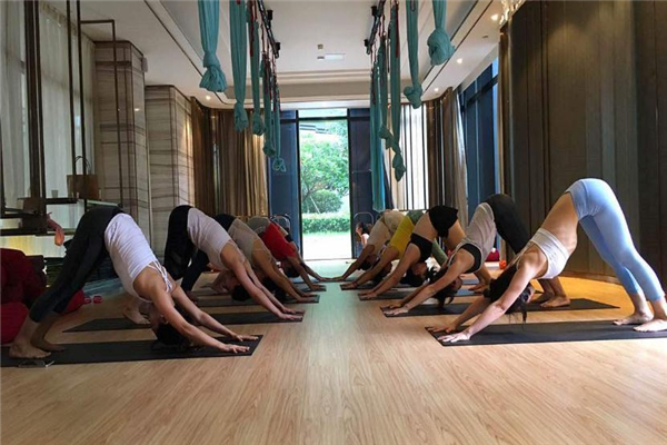 初学者适合哪些瑜伽体式(初学者必练的10个瑜伽体式)