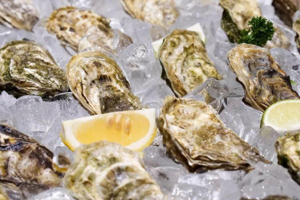 怀孕可以吃生蚝吗?,怀孕期间吃海参有什么好处