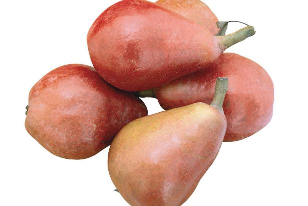 划船机训练计划(划船机训练计划)