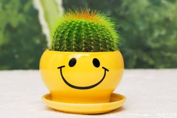 仙人掌果实能吃吗?,哪种仙人掌能吃