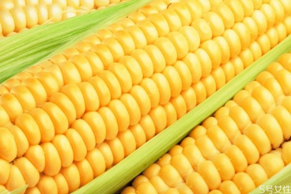 新玉米老玉米的区别,新玉米和旧玉米有什么区别 新玉米老玉米的区别,新玉米和旧玉米有什么区别